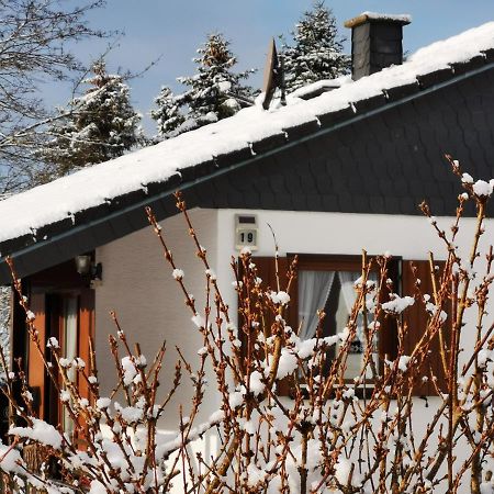 Bb19 Eifel-Ferienhaus Am Moseltal Mit Saunahaus Beuren  外观 照片