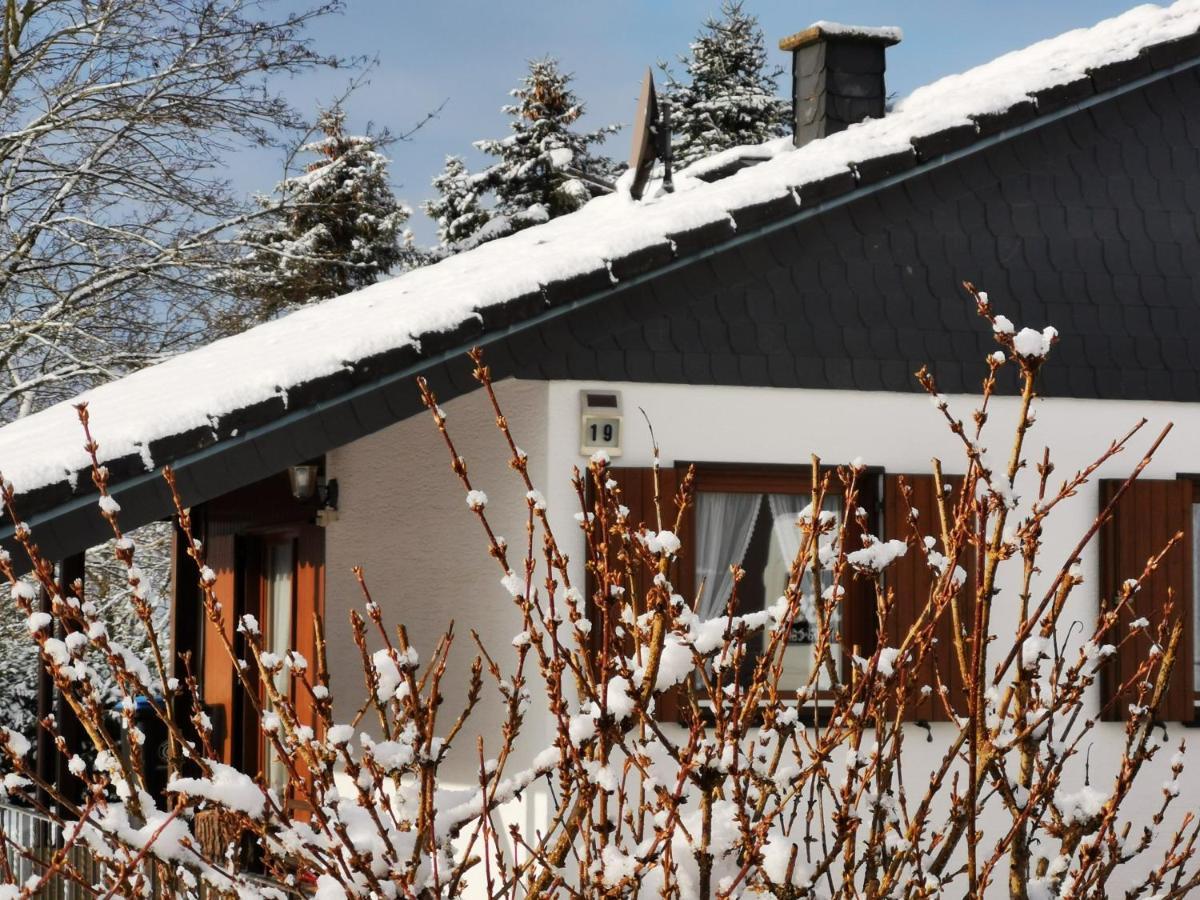 Bb19 Eifel-Ferienhaus Am Moseltal Mit Saunahaus Beuren  外观 照片