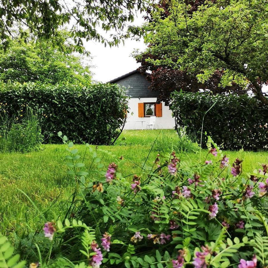 Bb19 Eifel-Ferienhaus Am Moseltal Mit Saunahaus Beuren  外观 照片