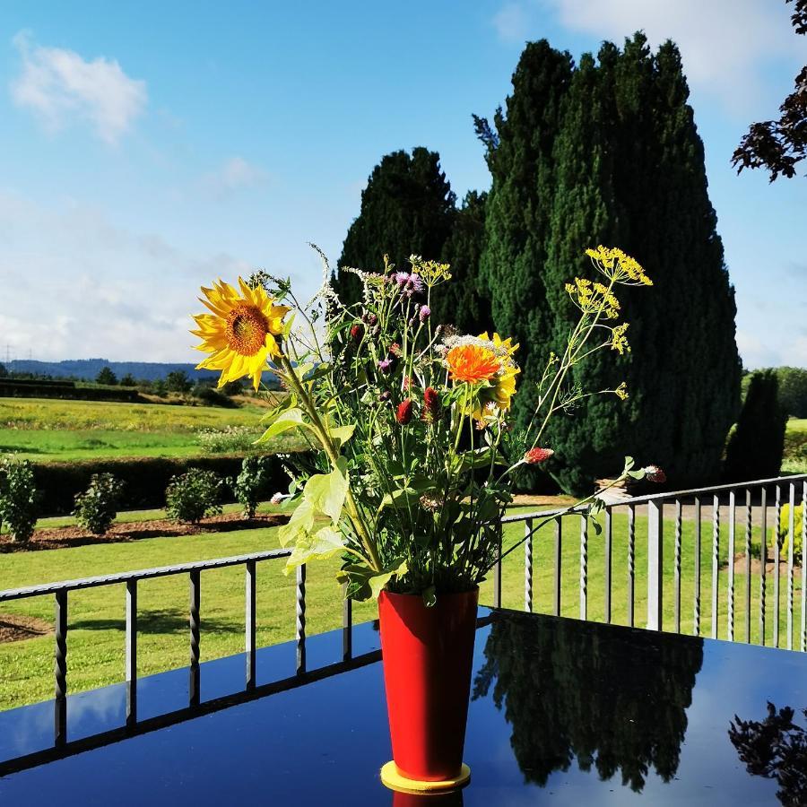 Bb19 Eifel-Ferienhaus Am Moseltal Mit Saunahaus Beuren  外观 照片